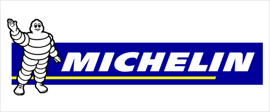 Зимние шины Michelin